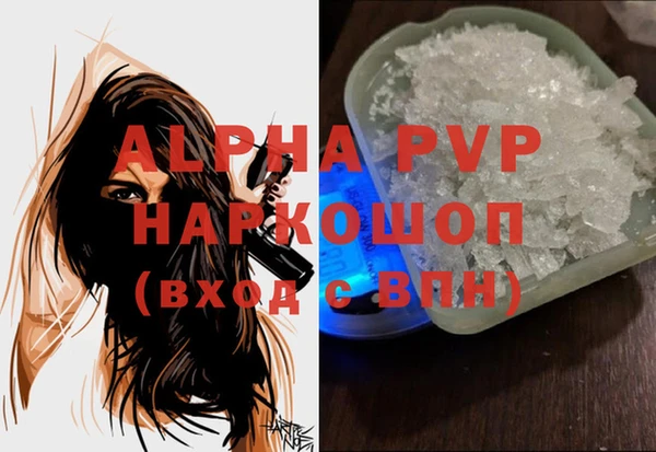 стафф Арсеньев