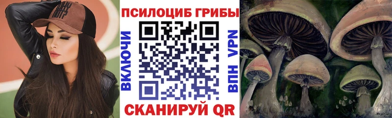 Галлюциногенные грибы Psilocybe  blacksprut ONION  Кыштым  купить наркотики сайты 